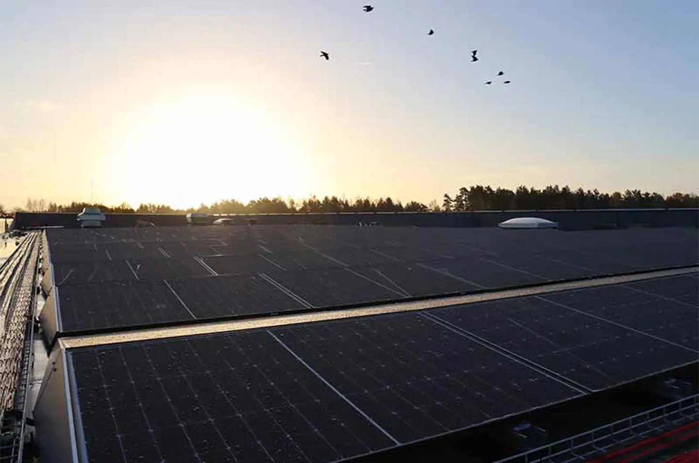 Solar panels placed on the roof of Axelent's headquarters